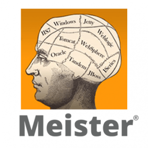 Meister and Environment Variables